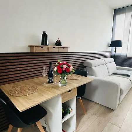 דירה Romantique Avec Jacuzzi Prive - Apercu - Terrasse - Parking Gratuit