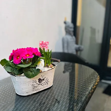 דירה Romantique Avec Jacuzzi Prive - Apercu - Terrasse - Parking Gratuit *